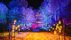 Harry Potter: la experiencia del Bosque Prohibido llega a Santiago con recorrido nocturno en la Quinta Normal