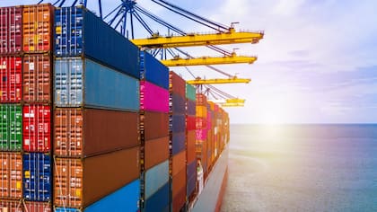 Estos son los seis productos chilenos que están conquistando el mundo