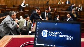 Insólito error en borrador de nueva Constitución: tuvieron que bajar el texto a solo horas de publicado