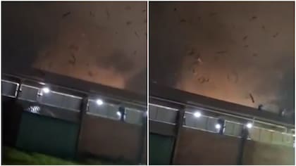 Ocho viviendas afectadas y cortes de luz: el balance de Senapred tras los vientos características tornádicas que se registraron en Yungay