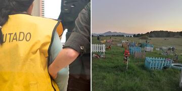 Imputada - cementerio de mascotas