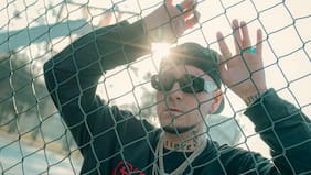 Ceaese: un tigre suelto en la ciudad