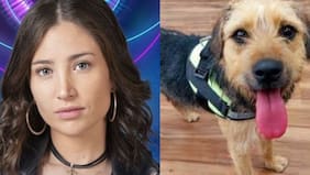 Maite Phillips habla sobre la polémica tras maltrato de Bigotes: “Que la casa se haga cargo”