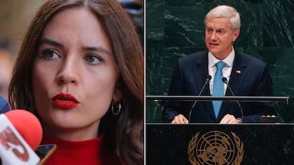 “Nuevamente avergonzando a Chile”: Camila Vallejo repasó con todo al Presidente Kast y expuso polémica imagen