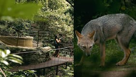 La gran atracción que tendrá Parque Tricao durante las vacaciones de invierno