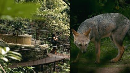La gran atracción que tendrá Parque Tricao durante las vacaciones de invierno