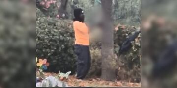 haitiano comiendo conejo