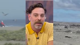 “No va a ir una mujer a enfrentar un jeep con cuatro hueones arriba, ¡que más encima están curaos!“, Neme ante nula fiscalización en playas