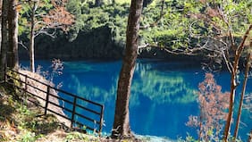 Riñihue: quién mató a Emilia y por qué hay una comunidad amenazada