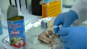 Nueva denuncia por “falso jurel” apunta a cinco marcas: piden retiro de los productos del mercado