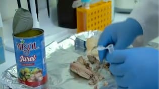 Nueva denuncia por “falso jurel” apunta a cinco marcas: piden retiro de los productos del mercado