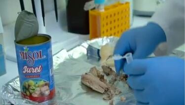 Nueva denuncia por “falso jurel” apunta a cinco marcas: piden retiro de los productos del mercado