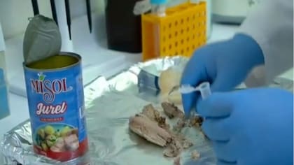 Nueva denuncia por “falso jurel” apunta a cinco marcas y reabre alertas en el mercado