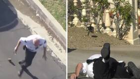 Imágenes fuertes: Una nube de abejas enfurecidas ataca sin piedad a un policía