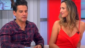 "Arribaron (juntos) a Santiago Angélica Castro y Cristián", "ella venía tapada hasta por acá, con unos lentes gigantes", cuentan en espacio de farándula