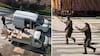 Intentaron robarse una camionada de huevos y todo terminó a balazos en plena calle: hay tres menores y un adulto detenidos
