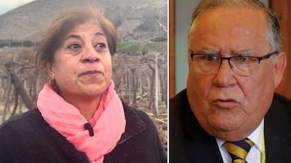 “La pena que me da, yo voté por este gobierno”: Agricultora del norte al borde del llanto por “indignantes” dichos de ministro