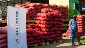 Solo se podrá ingresar con carnet chileno: mercado Lo Valledor implementa estrictas medidas de seguridad