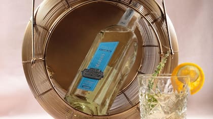 En su día: pisco chileno de Atacama ganó importante premio internacional