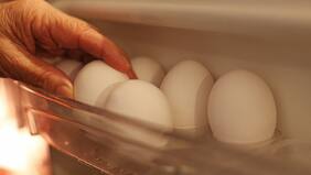 Viral en TikTok advirtió los riesgos que existen al calentar un huevo cocido en microondas