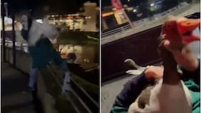 Lo tomaron del cogote: enmascarados robaron ganso desde un mall en Puerto Varas