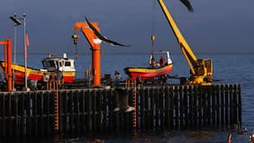 Confirman que mujer fallecida en Caleta Portales era una funcionaria de la Armada: fue identificada como una “Servidora Naval”
