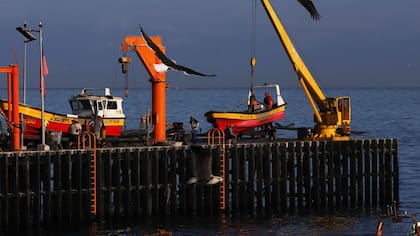 Confirman que mujer fallecida en Caleta Portales era una funcionaria de la Armada: fue identificada como una “Servidora Naval”