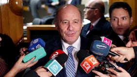 Fueron al TC: Gobierno busca impugnar norma que obliga a empresas a reponer gratis la luz, el agua potable y el gas en zonas de catástrofe