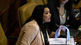 Diputada cita a Los Prisioneros durante debate por la Identidad de Género