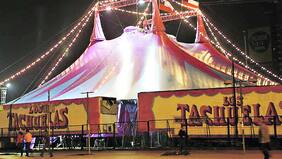 Corte confirma que "Tachuela Grande" deberá pagar multa por maltrato animal