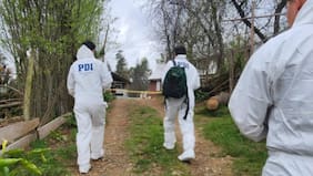 Perros le comieron el brazo derecho: horrorosa escena tras muerte de adulto mayor vuelve a remecer a Pitrufquén
