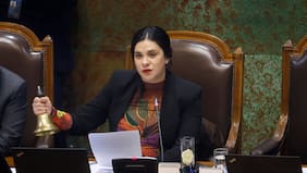 Revelan que Karol Cariola pagaba el arriendo del departamento a empresario chino por el que intercedió ante Irací Hassler