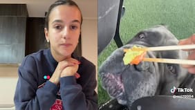 Influencer chilena se defiende de críticas por darle wasabi a su perro: explicó qué ocurrió realmente y tomó drástica decisión
