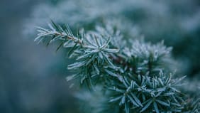 Hasta -4°C: Dirección Meteorológica emite alerta por bajas temperaturas para los próximos días