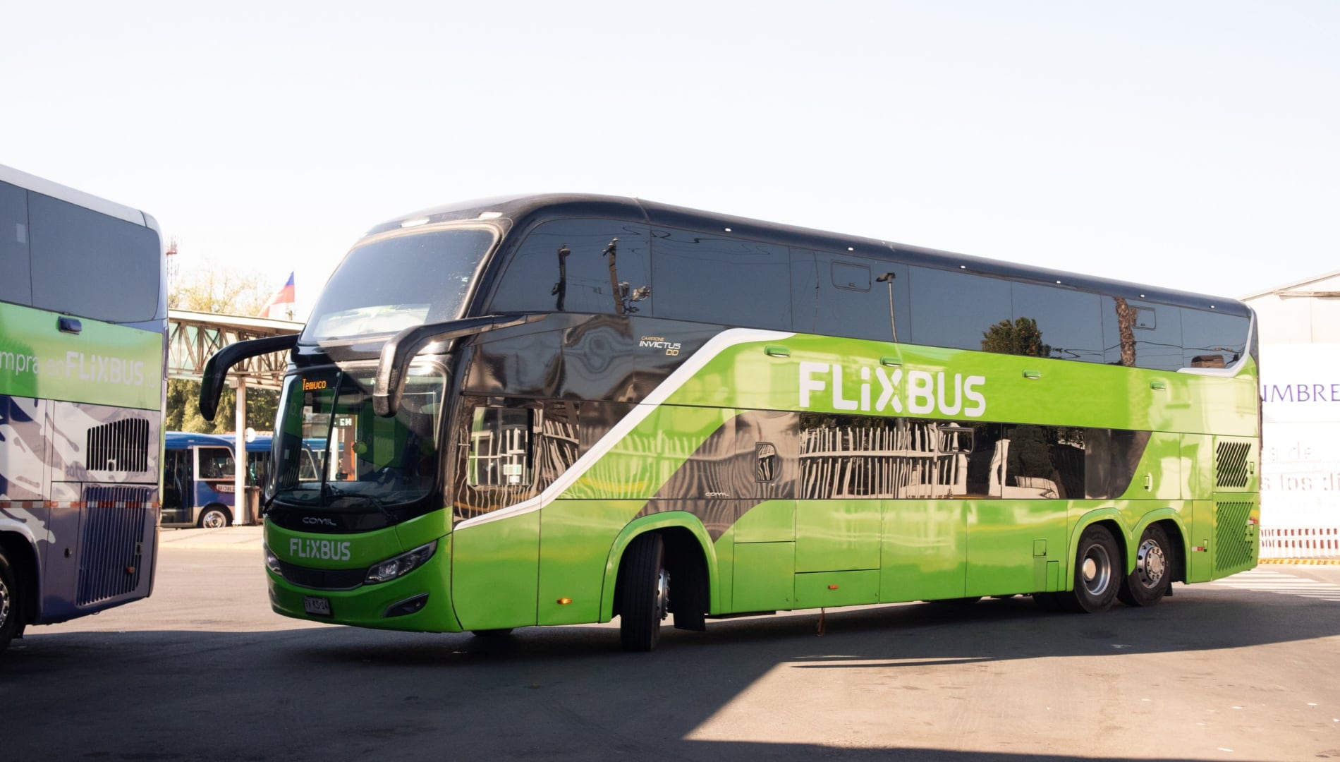 Buses desde Curicó suman llegada al Terminal San Borja y amplían sus recorridos hacia Santiago