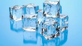 El emprendimiento chileno que busca acabar con el plástico en las bolsas de hielo