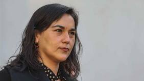 “Es obvio pegar”: el WhatsApp de Izkia Siches al Colmed para endurecer tono con el gobierno