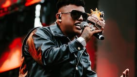 Lyon la F: se ha escapado un león desde Coquimbo