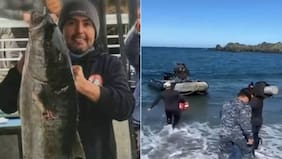 Prendas halladas con mordeduras de tiburón: surge fuerte hipótesis tras desaparición de buzo en playa de Atacama