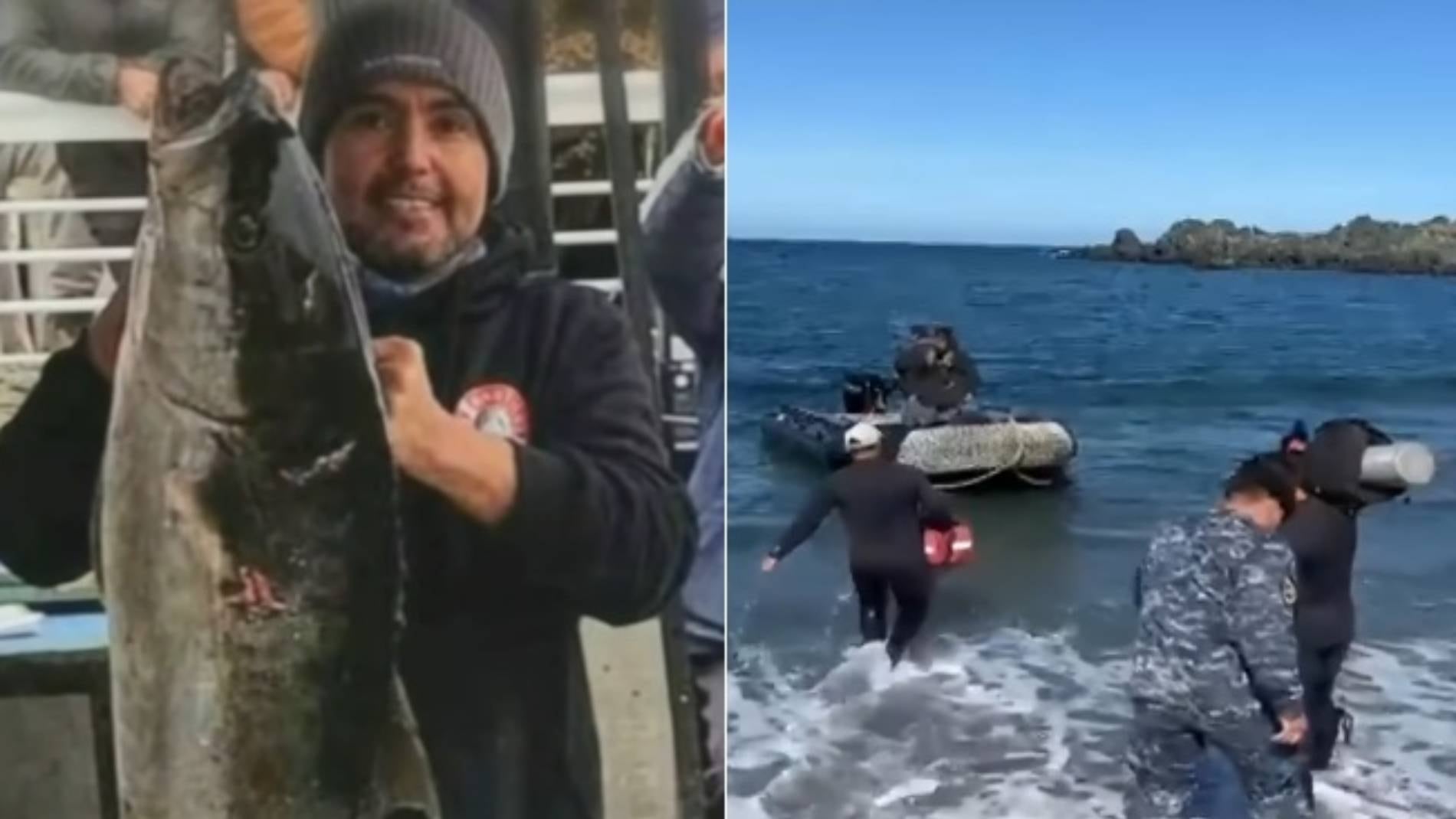 Prendas halladas con mordeduras de tiburón: surge fuerte hipótesis tras desaparición de buzo en playa de Atacama