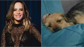 “Tenía que salir a aclararlo”: Diana Bolocco alzó la voz y se defendió tras críticas por el maltrato a Bigote en Gran Hermano