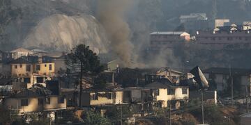 VIÑA DEL MAR: Incendio Forestal 3 de Febrero