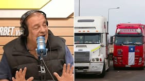 “Son unos gatitos, unos miau miau”: El irónico dardo de Francisco Vidal a los camioneros por alza de combustibles