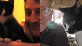 Dos décadas juntos: el tierno video de un gatito y su dueño que emociona en redes