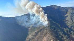 Alerta Roja por violento incendio en Zapallar y Papudo: el fuego amenaza sectores poblados