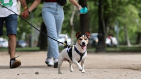 Carabineros invita a caminata canina gratuita en ParqueMet: los 3 mil primeros inscritos se llevarán un kit