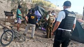 Detienen a cuatro extranjeros por cocinar lobo marino en campamento en Arica: lo cazaron y lo faenaron