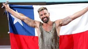 "Ricky entró (a la Quinta Vergara) acostado en la camioneta en medio de los piedrazos. Y lo llaman los artistas internacionales, '¿se puede ir o no?'. Y dijo ‘no pasa nada, vengan...'", cuenta María Luis Godoy