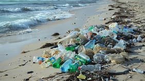 Un cigarro significa 50 litros de agua contaminada: experto advierte sobre la basura en playas