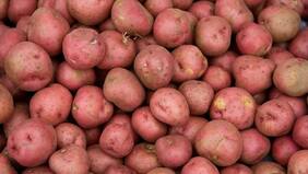 “Tiene que acabarse este abuso”; ministro de Agricultura criticó a intermediarios por alzas en precio de las papas